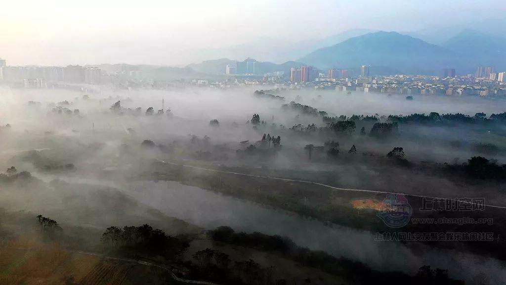 暗黑精灵幽影重重
